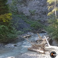 Torrent de Miage.