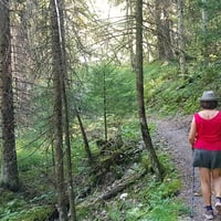 Début de la montée.