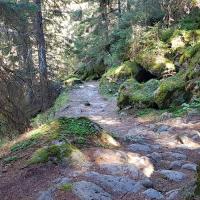 La descente pavée.