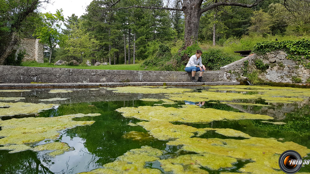 Le grand bassin près du gîte.