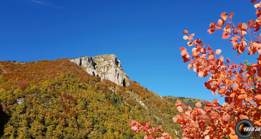 Couleurs d'automne dans les gorges.