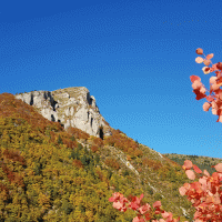 Couleurs d'automne dans les gorges.