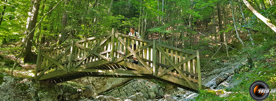 La passerelle avant le pont Peirant.