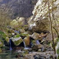 Dans les gorges.