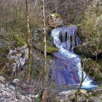 Dans les gorges.
