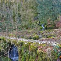 Petit pont sur la Gerlette.