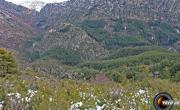 Gorges trevans photo