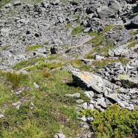 Couloir sous le sommet.
