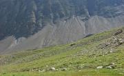 Grand berard photo