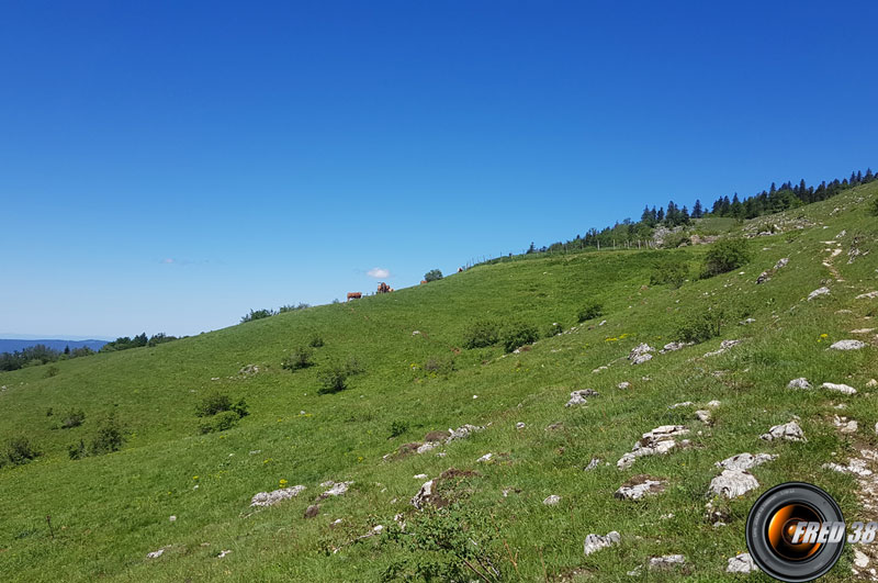 La Sorgia d'en Haut.