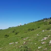 La Sorgia d'en Haut.