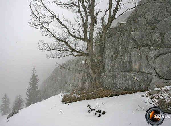 La falaise à longer sous le sommet