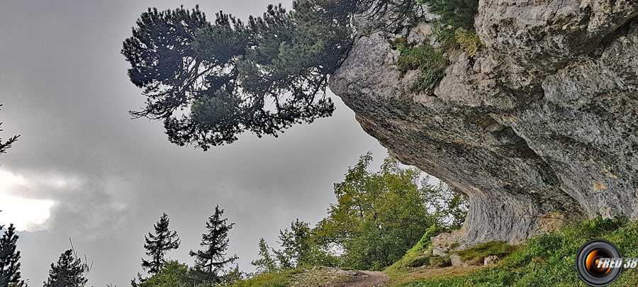 Passage sous la falaise sur le sentier balcon.