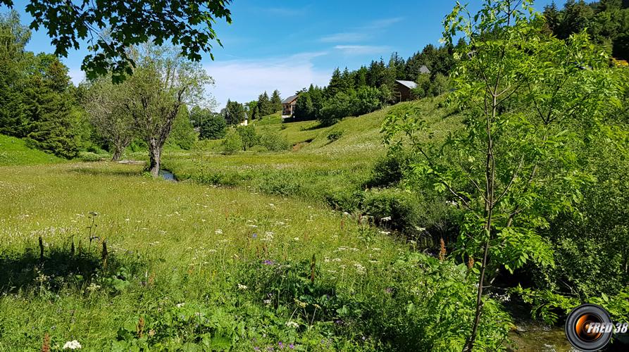 Traversée du ruisseau.