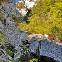 Source du Cernon