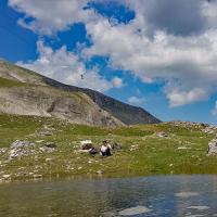 Petit lac de fonte et le téléphérique.