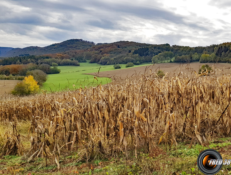 Le mont Falcon.