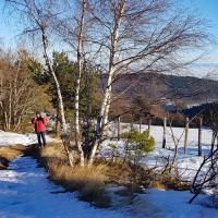 Près de la Croix Fayard.