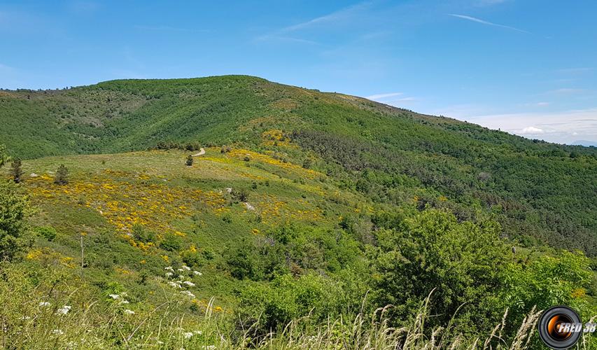 Au col de la Croix de violette