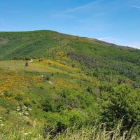 Au col de la Croix de violette