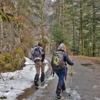 Retour sur la route de Chartrousette.