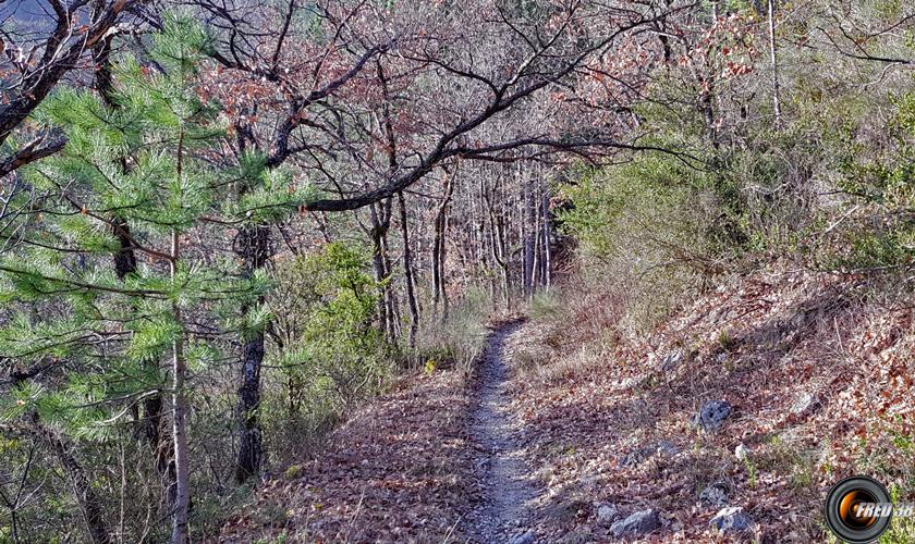 Le sentier de montée.