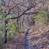 Le sentier de montée.