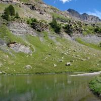 Au pont des Oules