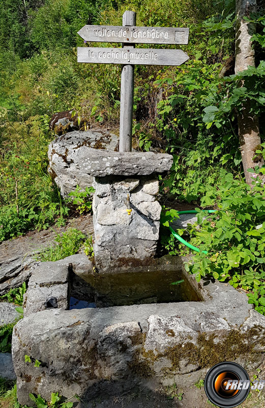 La fontaine