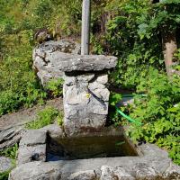 La fontaine