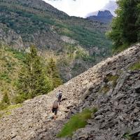 Dans la descente.