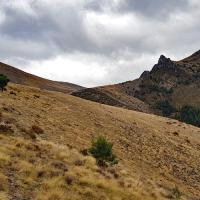 Dans le grand alpage, à droite le sommet.