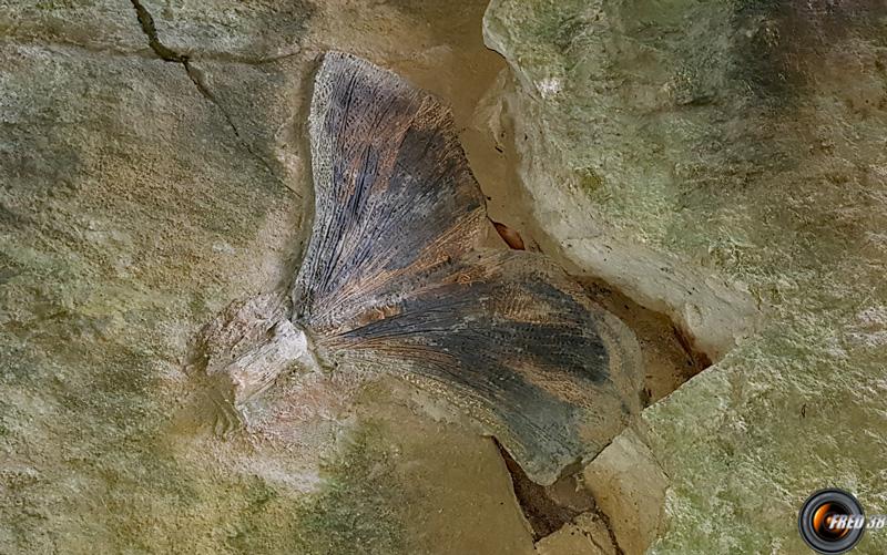 Dans la grotte.