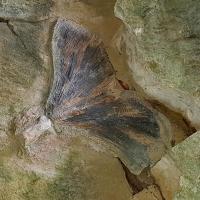Dans la grotte.