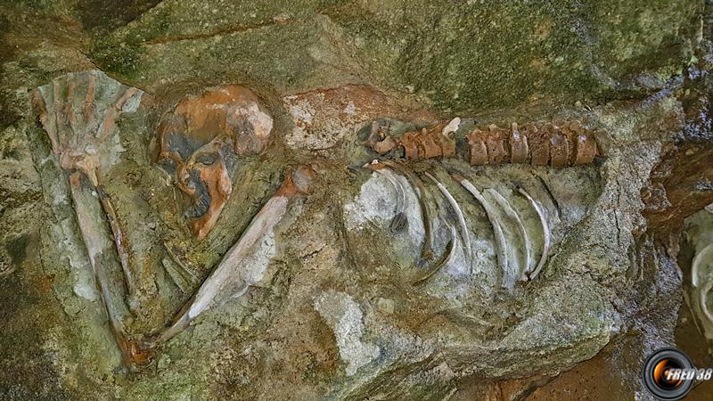 Dans la grotte.