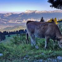 Belle vue sur la Chartreuse.