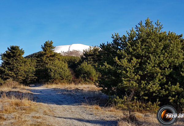 Sur la crête vers le sommet.