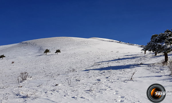 Arrivée dans l'alpage.