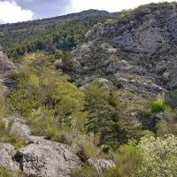 Le petit vallon.