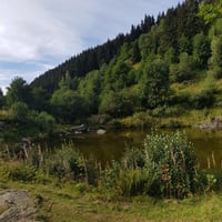 Le lac.