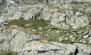 Lac de comborsier photo
