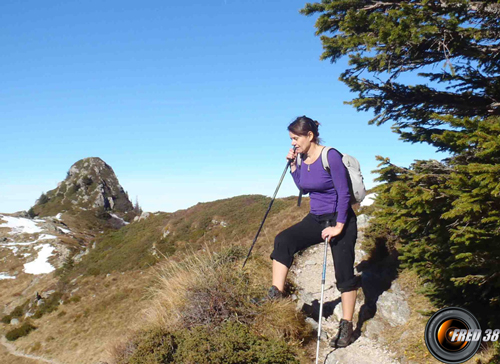 En fond le Mont Saint-Mury.