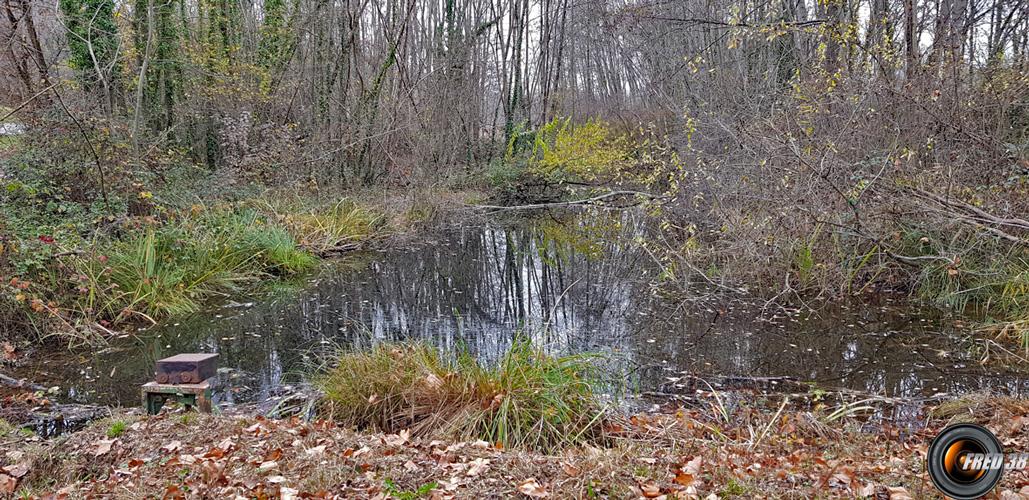 L'extrémité sud du lac.