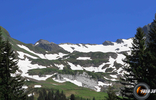 La combe de Tardevant.