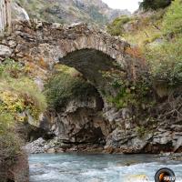 Pont sur le Vénéon.