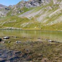 Lac du Lauzanier