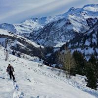 Le vallon de la Grande Maison