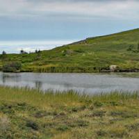 Lac Canard