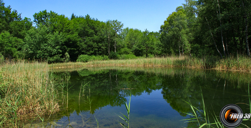 Le lac Noir.