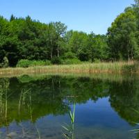 Le lac Noir.